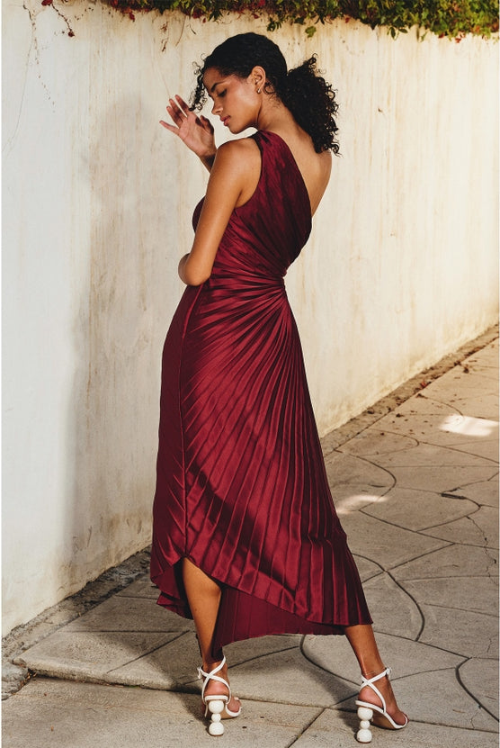 Valencia Pleated Maxi Dress-Dresses-Vixen Collection, Day Spa and Women's Boutique Located in Seattle, Washington