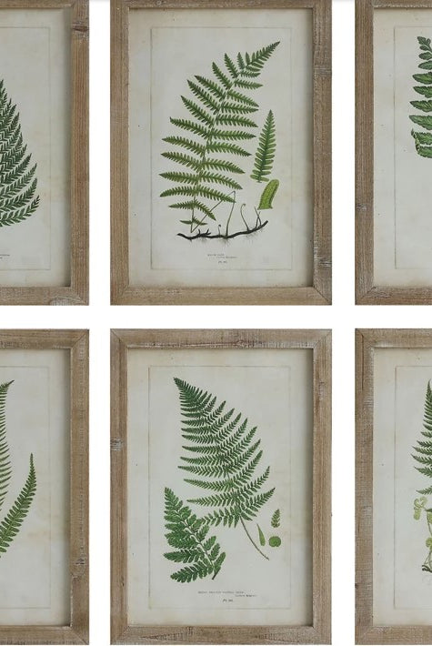 Fern Fronds Wall Decor-Home Decor-Vixen Collection, Day Spa and Women's Boutique Located in Seattle, Washington