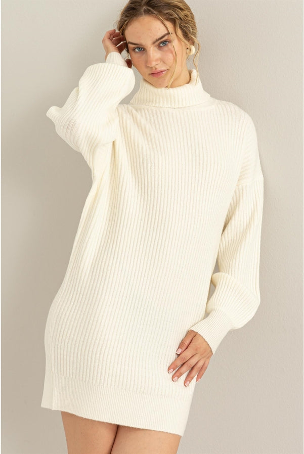 Daily Dream Ribbed Turtleneck Sweater Mini Dress | Two Colors-Dresses-Vixen Collection, Day Spa and Women's Boutique Located in Seattle, Washington