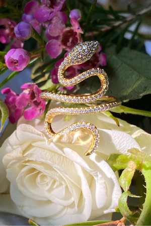 Enchanted Snake Ring-Rings-Vixen Collection, Day Spa and Women's Boutique Located in Seattle, Washington