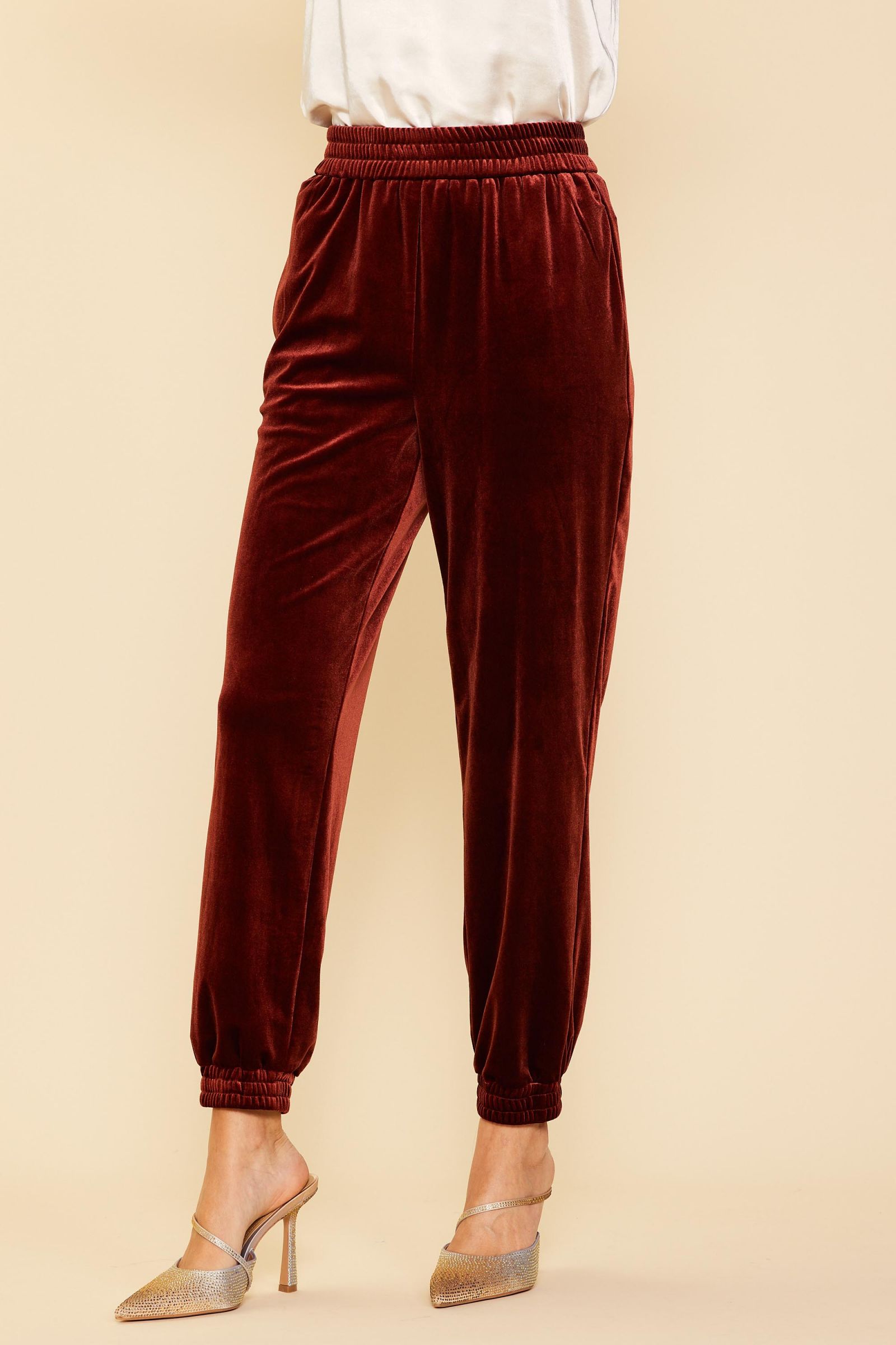 Velour Velvet Joggers-Pants-Vixen Collection, Day Spa and Women's Boutique Located in Seattle, Washington