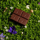 Alice Mushroom Chocolates-Herbal Supplements-Vixen Collection, Day Spa and Women's Boutique Located in Seattle, Washington