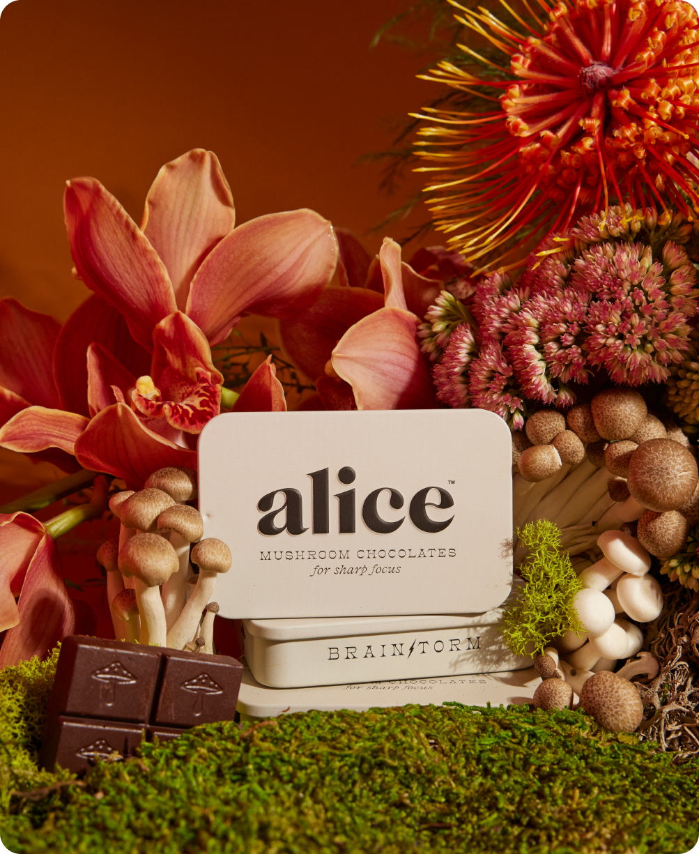 Alice Mushroom Chocolates-Herbal Supplements-Vixen Collection, Day Spa and Women's Boutique Located in Seattle, Washington