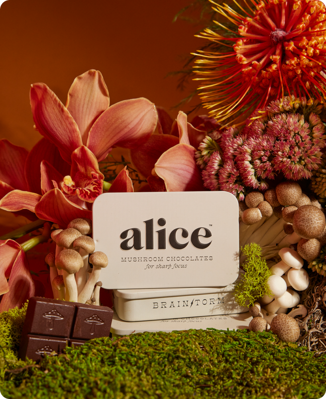 Alice Mushroom Chocolate-Herbal Supplements-Vixen Collection, Day Spa and Women's Boutique Located in Seattle, Washington