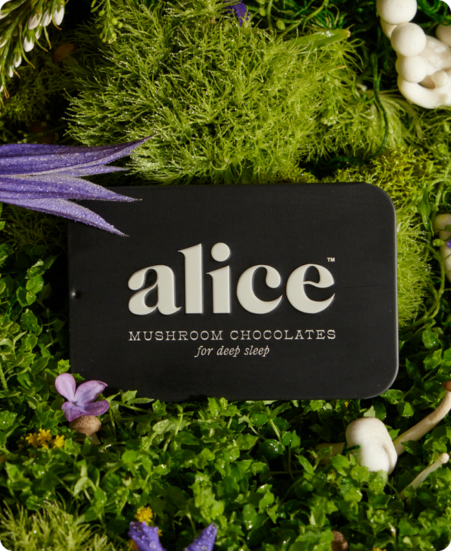Alice Mushroom Chocolate-Herbal Supplements-Vixen Collection, Day Spa and Women's Boutique Located in Seattle, Washington