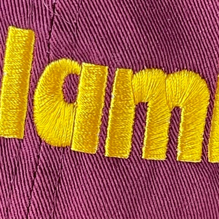 Salami Baseball Cap-Hats-Vixen Collection, Day Spa and Women's Boutique Located in Seattle, Washington