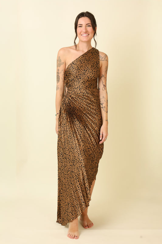 Sahara Nights Pleated Maxi Dress-Dresses-Vixen Collection, Day Spa and Women's Boutique Located in Seattle, Washington