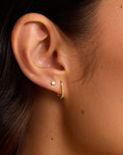 Crew Link Single Huggie-Earrings-Vixen Collection, Day Spa and Women's Boutique Located in Seattle, Washington