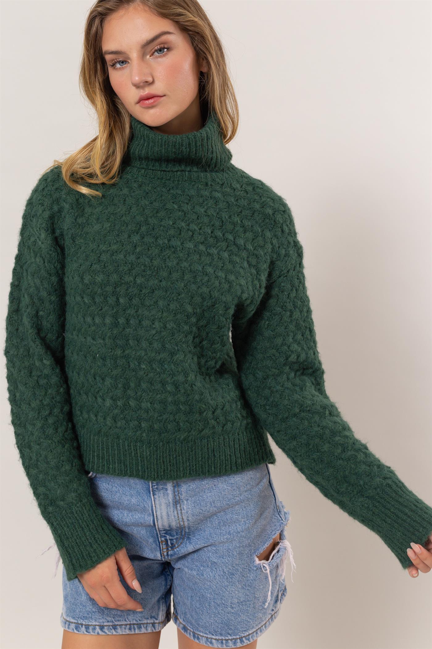 Masie Turtleneck Sweater-Sweaters-Vixen Collection, Day Spa and Women's Boutique Located in Seattle, Washington