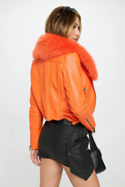 Zephyra Moto Jacket-Jackets-Vixen Collection, Day Spa and Women's Boutique Located in Seattle, Washington