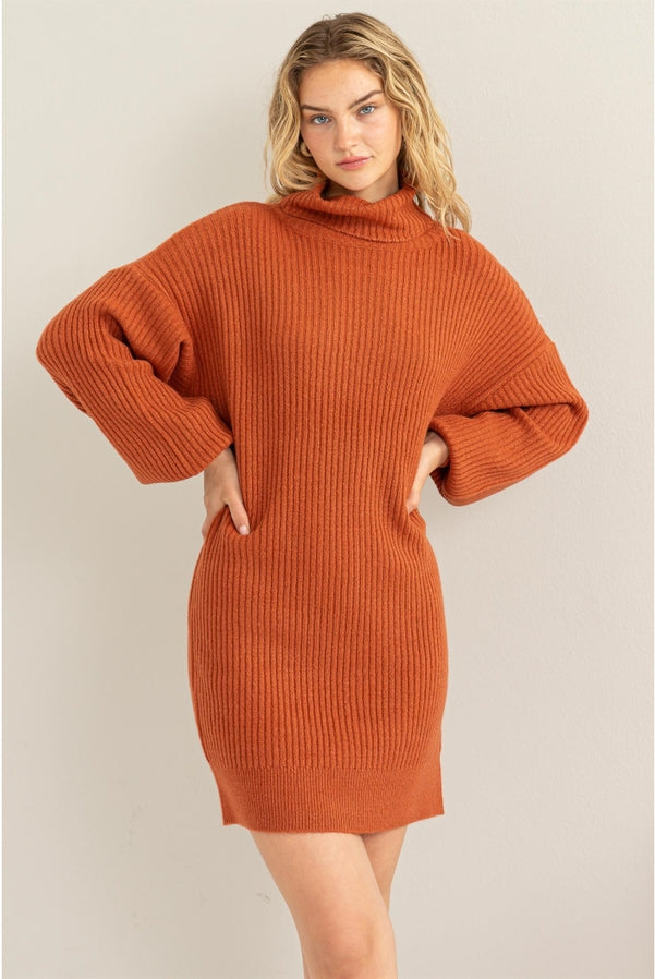 Daily Dream Ribbed Turtleneck Sweater Mini Dress | Two Colors-Dresses-Vixen Collection, Day Spa and Women's Boutique Located in Seattle, Washington