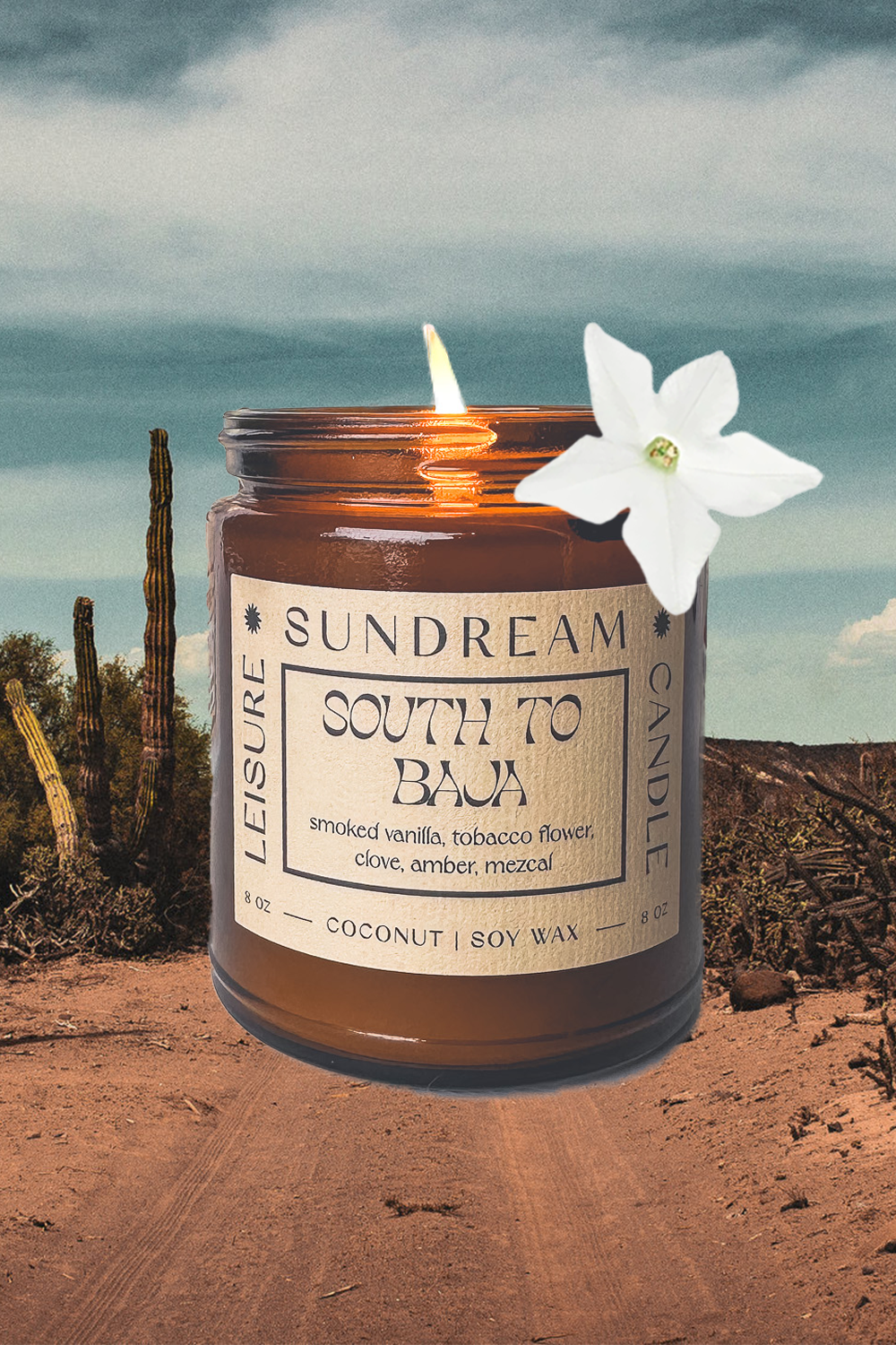 South To Baja Candle-Vixen Collection, Day Spa and Women's Boutique Located in Seattle, Washington
