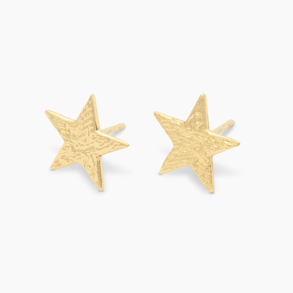Small Star Stud Earrings-Earrings-Vixen Collection, Day Spa and Women's Boutique Located in Seattle, Washington
