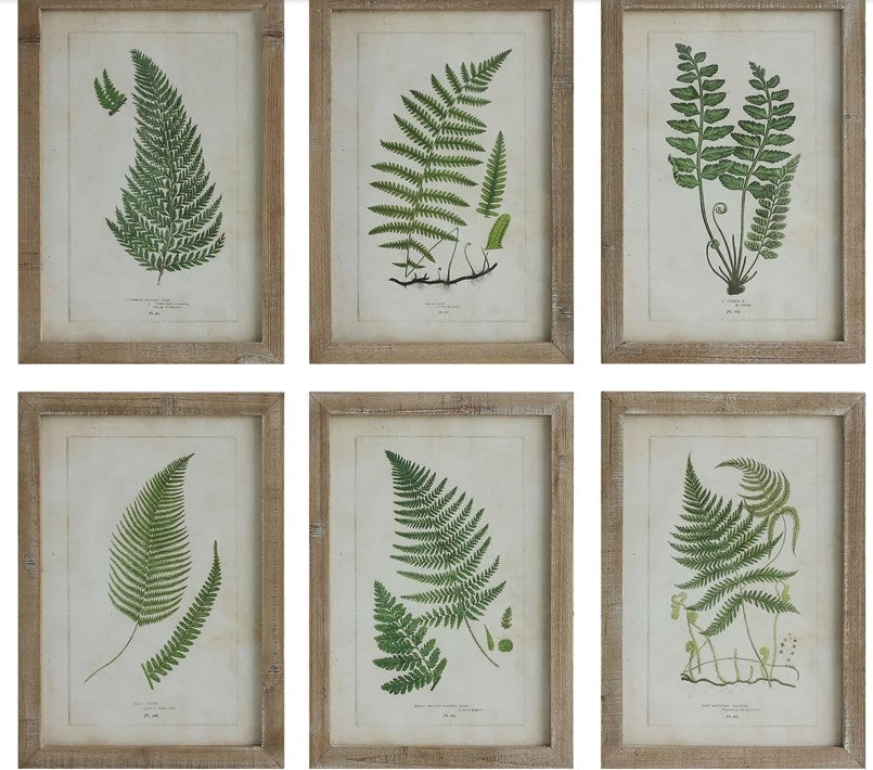 Framed Wall Decor with Fronds, 6 Styles | Vixen Collection