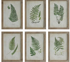Fern Fronds Wall Decor-Home Decor-Vixen Collection, Day Spa and Women's Boutique Located in Seattle, Washington