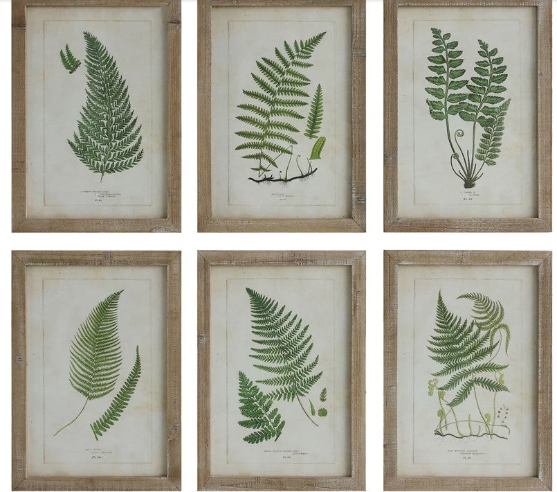 Fern Fronds Wall Decor-Home Decor-Vixen Collection, Day Spa and Women's Boutique Located in Seattle, Washington